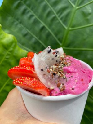  at Juicylab in Bocas Del Toro