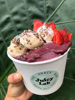  at Juicylab in Bocas Del Toro