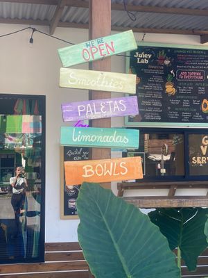  at Juicylab in Bocas Del Toro