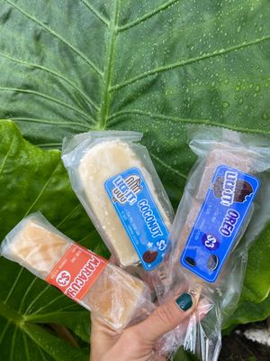  at Juicylab in Bocas Del Toro