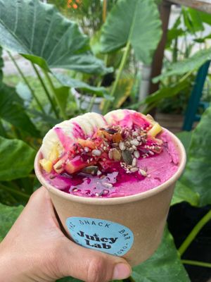  at Juicylab in Bocas Del Toro