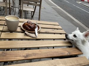 Om nom at Benk + Bo in East London