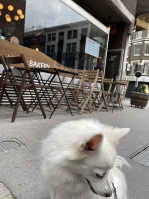 Street view at Benk + Bo in East London