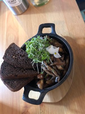 Happy oyster mushrooms at MIMO in Malaga