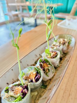 Sushi style rice paper rolls  at MIMO in Malaga