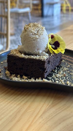 Brownie  at MIMO in Malaga