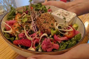 Salad with falafel-like patties at MIMO in Malaga