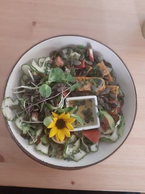 Amazing salad with tempeh at MIMO in Malaga