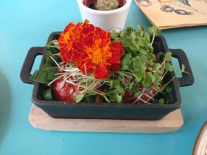 Baked tomatoes at MIMO in Malaga