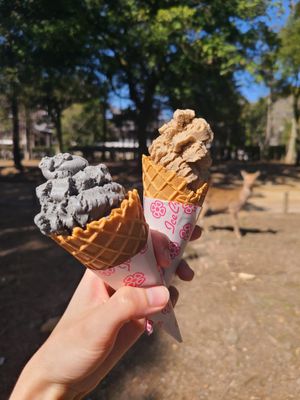 Sésame noir à gauche, Kinako à droite at Tsuru no Chaya in Nara