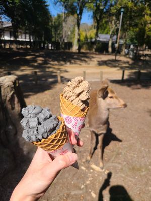  at Tsuru no Chaya in Nara
