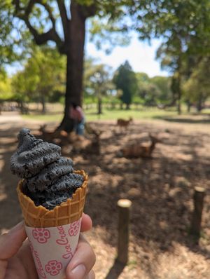  at Tsuru no Chaya in Nara