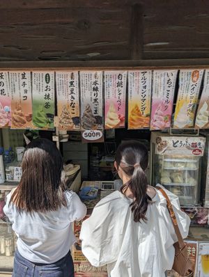 ice creams selection at Tsuru no Chaya in Nara
