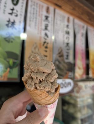 black soy bean ice cream at Tsuru no Chaya in Nara