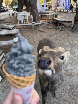   at Tsuru no Chaya in Nara
