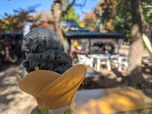 Black sesame soy at Tsuru no Chaya in Nara