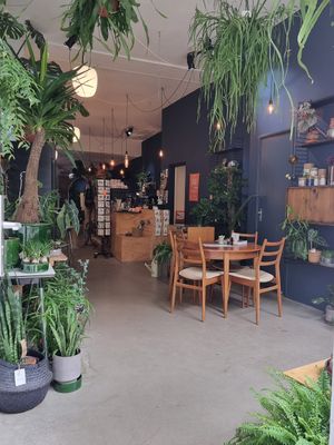 Inside at Wonderwoud in Maastricht