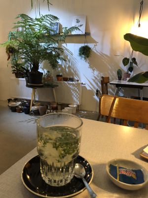 Tijm citroen thee at Wonderwoud in Maastricht