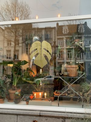 Store front at Wonderwoud in Maastricht