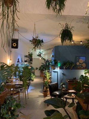 Nice store at Wonderwoud in Maastricht