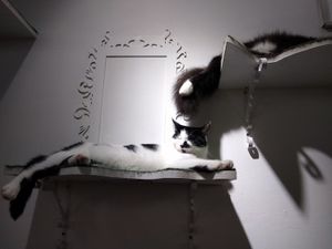 Sherlock or Watson again at Catz Cafe in Dusseldorf