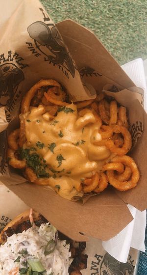 the curly fries are SO GOOD at Dharma Southern Kitchen in Tampa