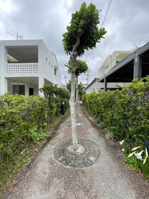   at Cafe Halcyon in Chatan