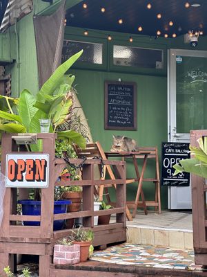   at Cafe Halcyon in Chatan