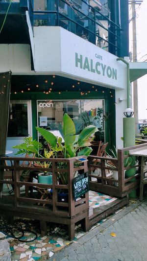  at Cafe Halcyon in Chatan