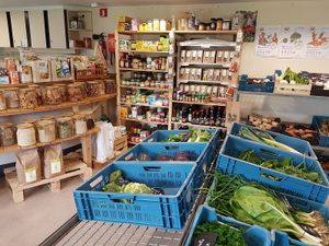 fresh vegs, herbs, cookies, etc at Biobes in Beernem