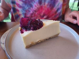 Cheesecake with blackberry compot at Rooted in Bath