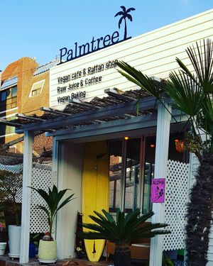 Beautiful cafe at Palm Tree in Busan