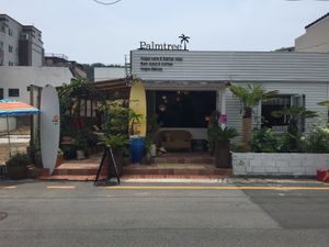 Charming atmosphere!  at Palm Tree in Busan