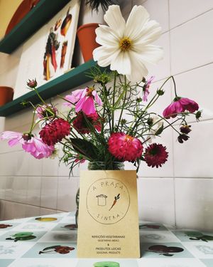 . at A Praça in Sintra