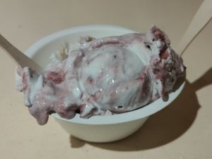 The blueberry jam ice cream is the bomb! at KOKOS Ice Cream (West Nash) in Nashville
