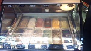 Vegan ice cream case at Walia Creamery in Denver