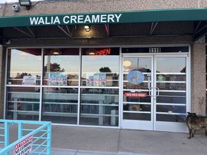 Vegan ice cream  at Walia Creamery in Denver