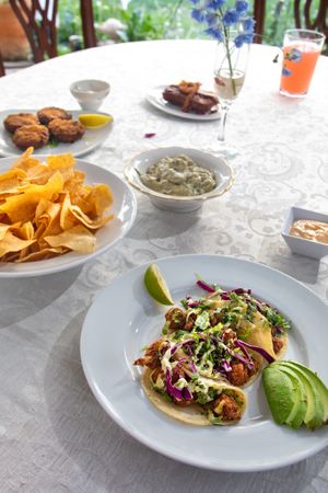 A vegan spread of tacos, spinach and artichoke dip, crab cakes. and tempeh wings at So Radish in Arvada