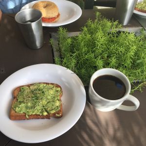avocado toast at Date & Thyme - Help Yourself in Key West