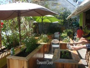 courtyard at Date & Thyme - Help Yourself in Key West