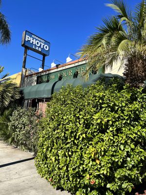   at Follow Your Heart Market & Cafe in Canoga Park