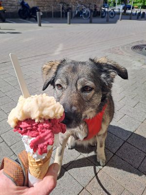  at Bargello in Luxembourg City