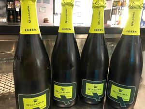 Franciacorta vegan at Pasticceria Ki  in Minerbio