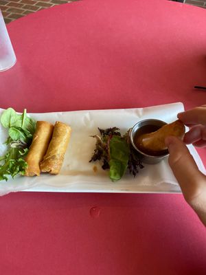 Spring rolls at Everest Kitchen in Wendell