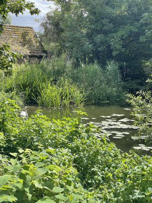   at The Brampton Mill in Huntingdon