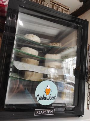 Cheese vegan at Terra Vega in Nantes