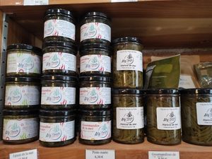 Algés at Terra Vega in Nantes