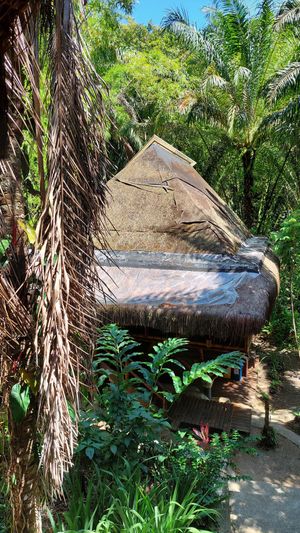 Kitchen at Universo Pol Bamboo Hostel in Morro De Sao Paulo
