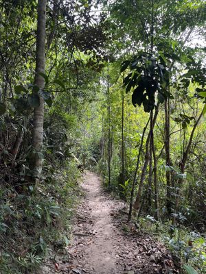   at Universo Pol Bamboo Hostel in Morro De Sao Paulo
