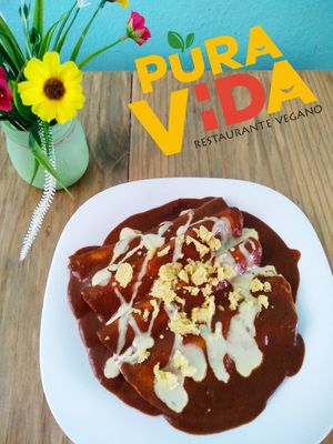 Enchiladas de mole!!! Queso de garbanzo y crema de almendras!! at Pura vida in Tuxtla Gutierrez